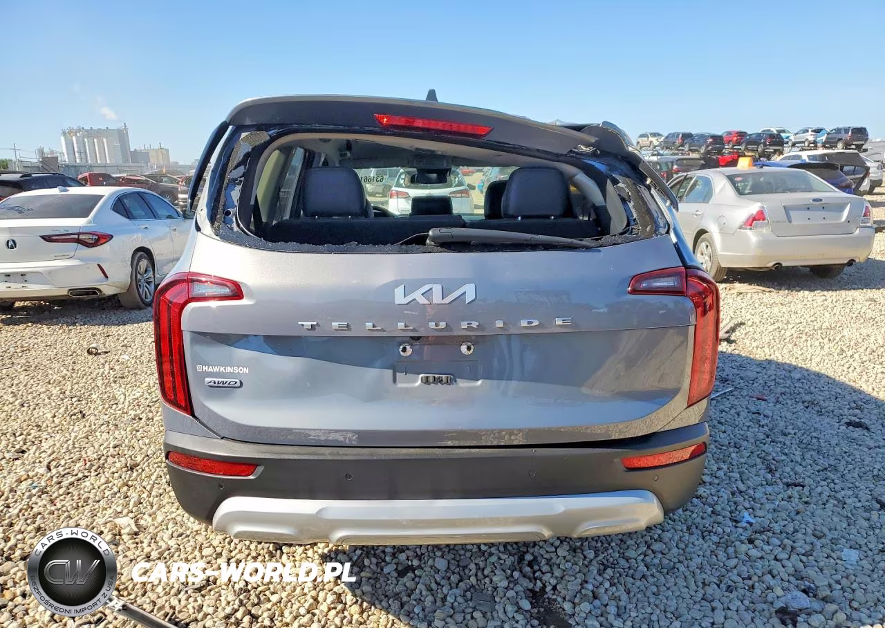 2022 Kia Telluride Lx VIN:5XYP2DHC7NG282413 - 6