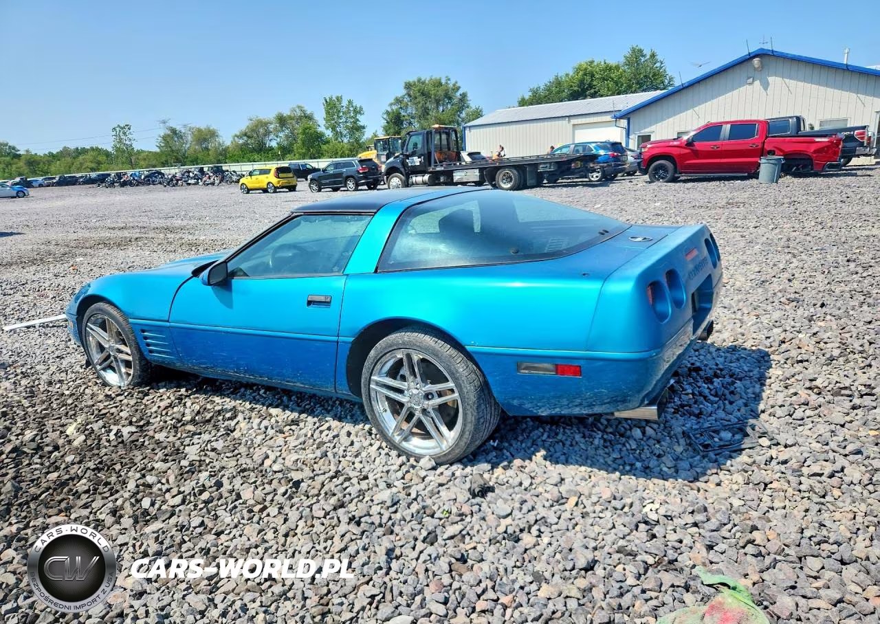 1992 Chevrolet Corvette VIN:1G1YY23P5N5100906 - 2