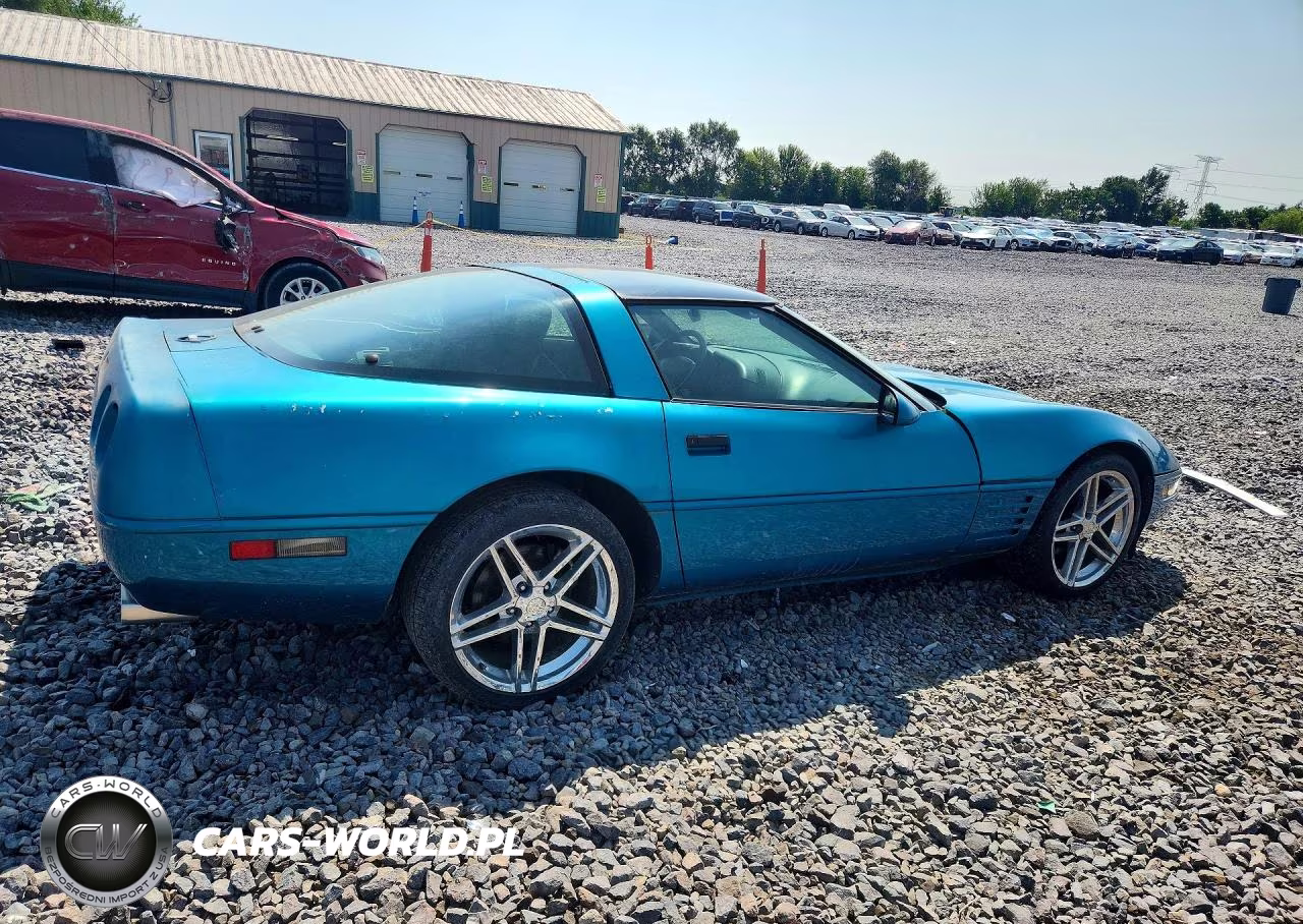 1992 Chevrolet Corvette VIN:1G1YY23P5N5100906 - 3
