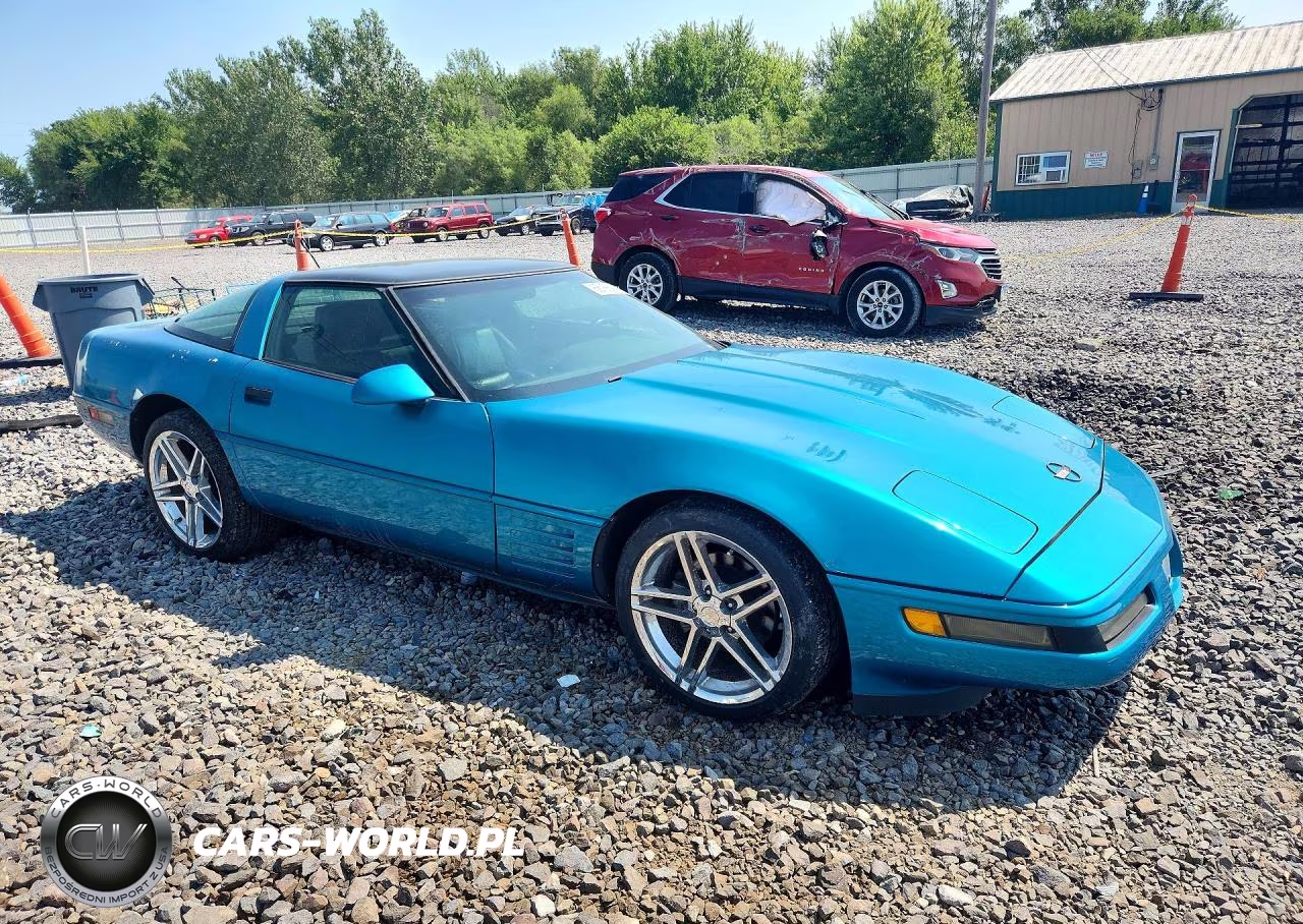 1992 Chevrolet Corvette VIN:1G1YY23P5N5100906 - 4