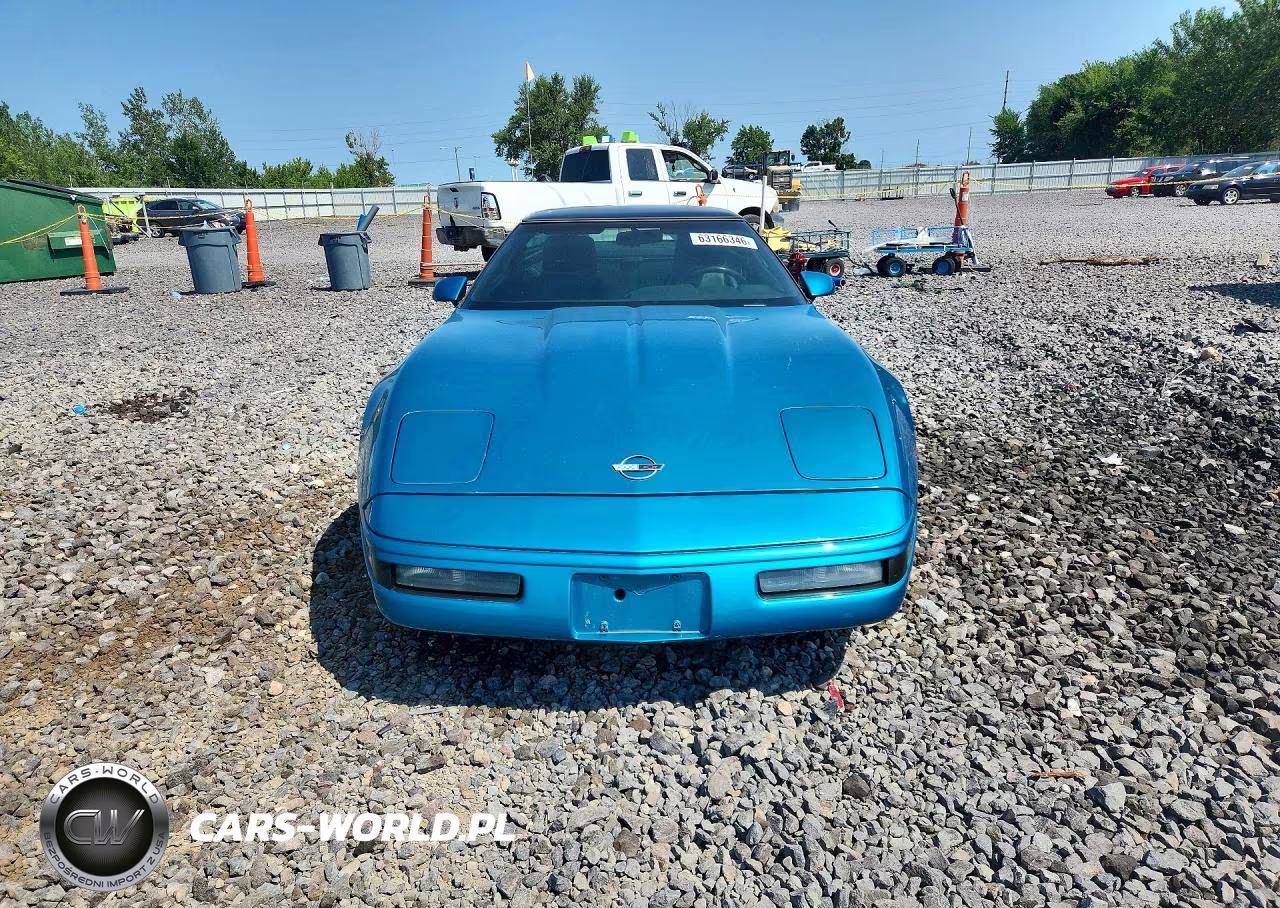 1992 Chevrolet Corvette VIN:1G1YY23P5N5100906 - 5
