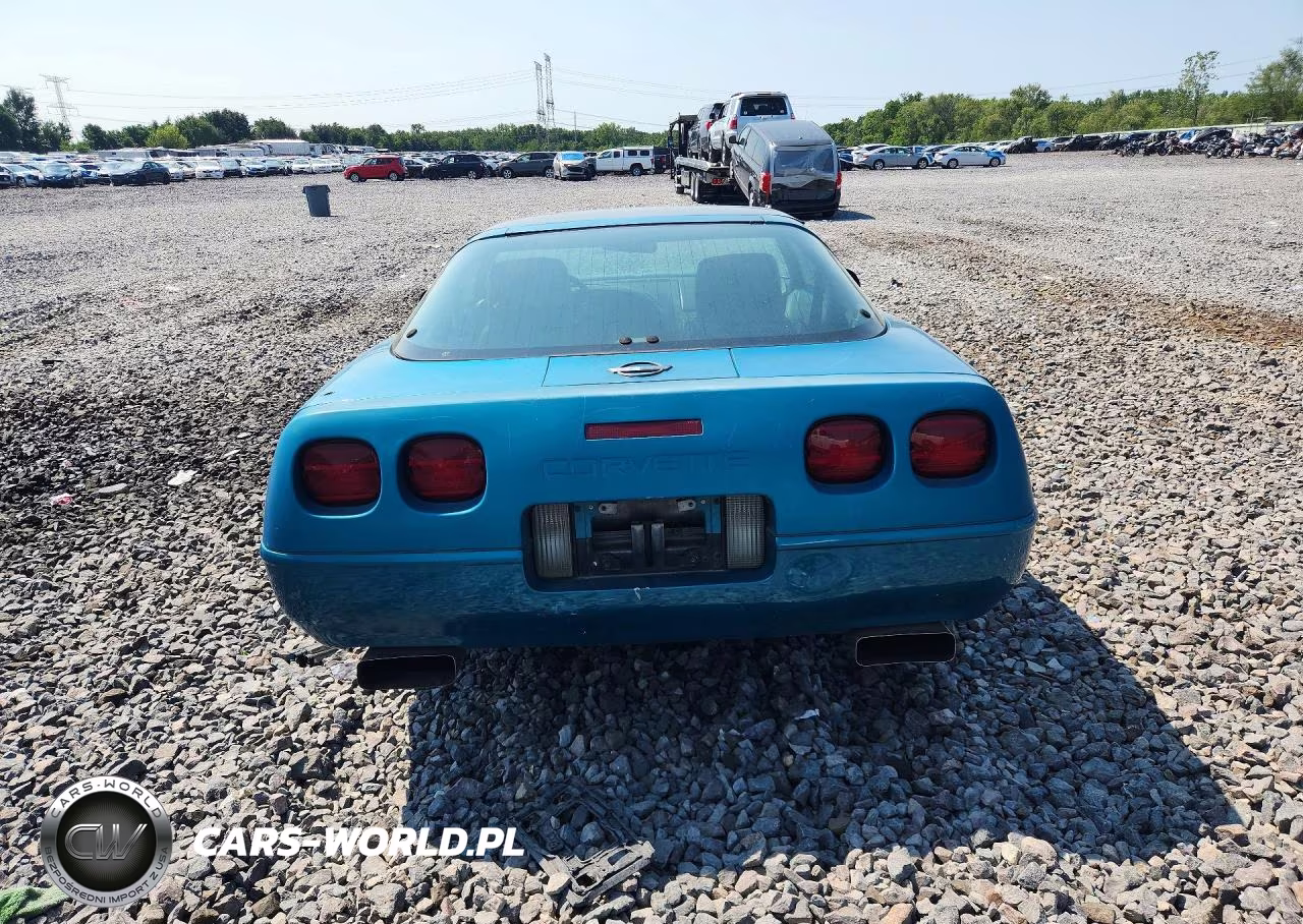1992 Chevrolet Corvette VIN:1G1YY23P5N5100906 - 6