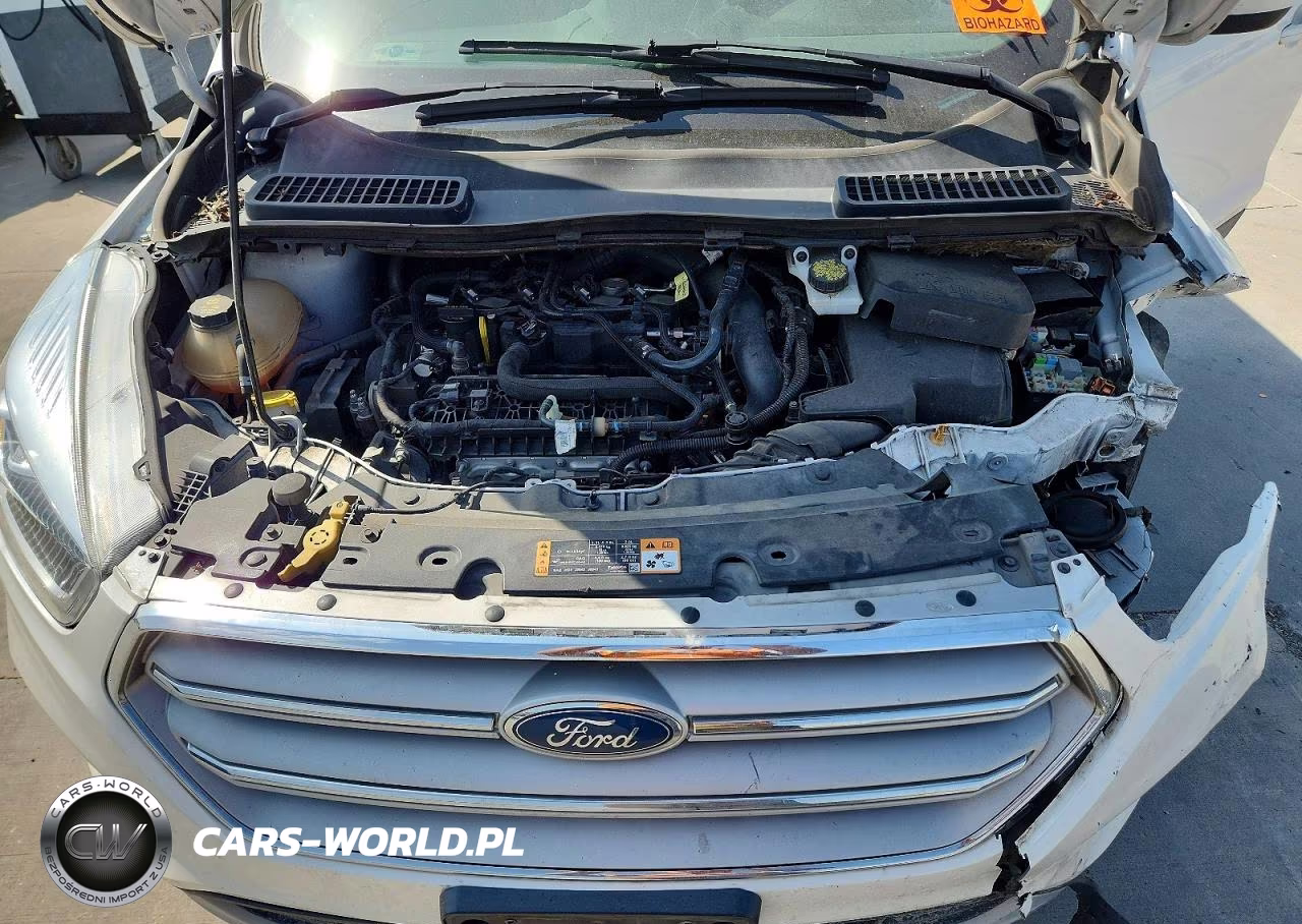 2019 Ford Escape Sel VIN:1FMCU0HD1KUA99766 - 12