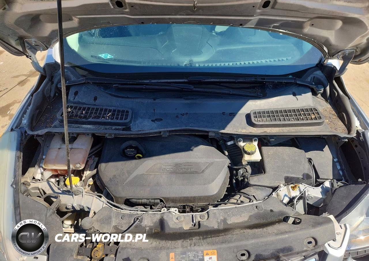 2015 Ford Escape Se VIN:1FMCU0GX6FUA64674 - 12