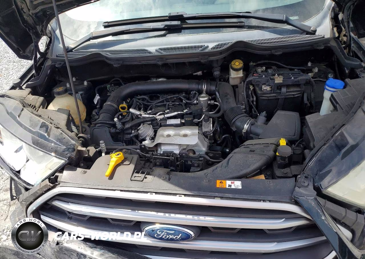 2019 Ford Ecosport Se VIN:MAJ3S2GE9KC304729 - 12