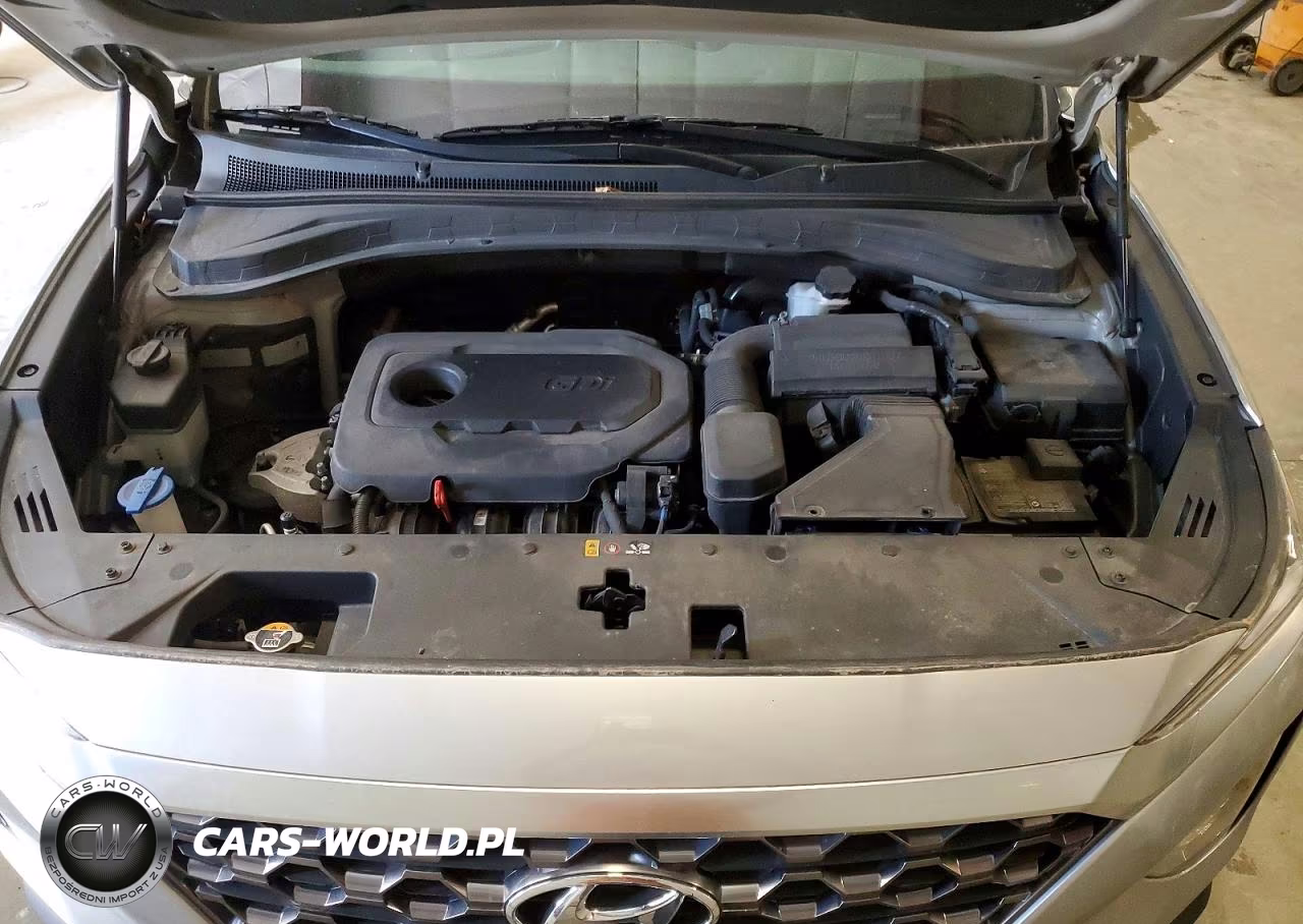 2020 Hyundai Santa Fe Sel VIN:5NMS3CAD1LH239323 - 12