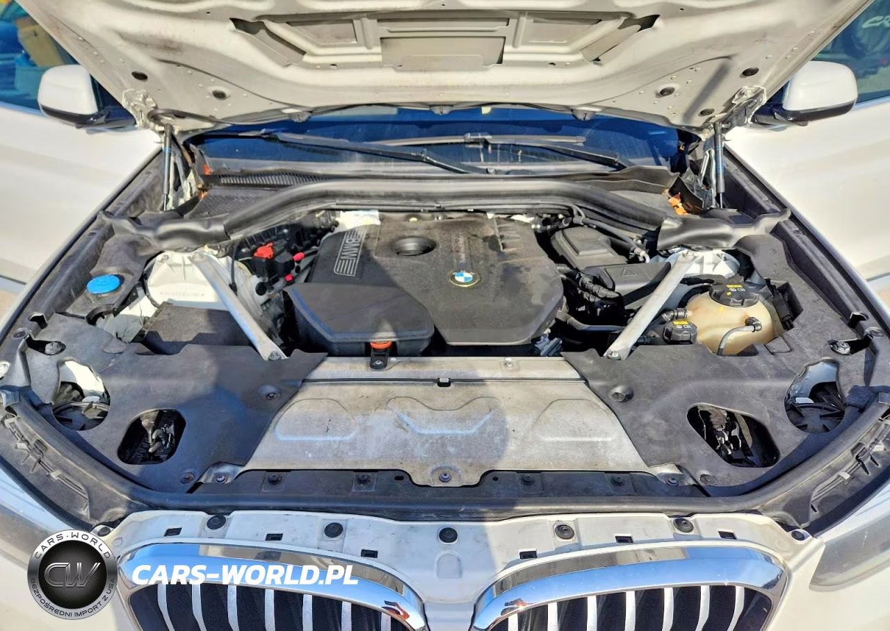 2019 BMW X3 Sdrive30I VIN:5UXTR7C51KLF27065 - 12