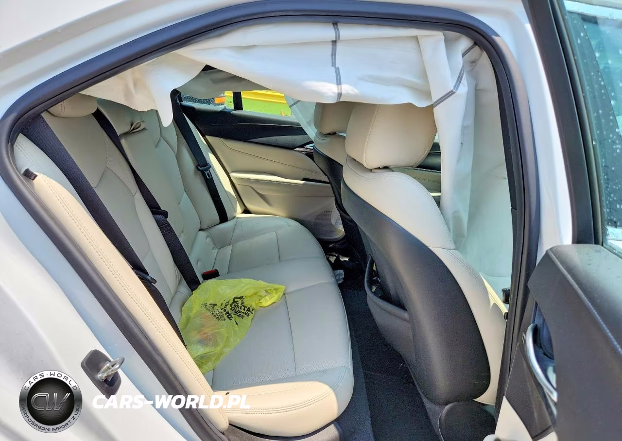 2023 Cadillac Ct4 Premium Luxury VIN:1G6DB5RK4P0106929 - 10