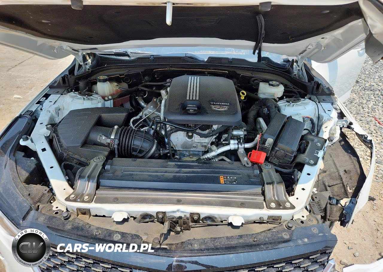 2023 Cadillac Ct4 Premium Luxury VIN:1G6DB5RK4P0106929 - 11