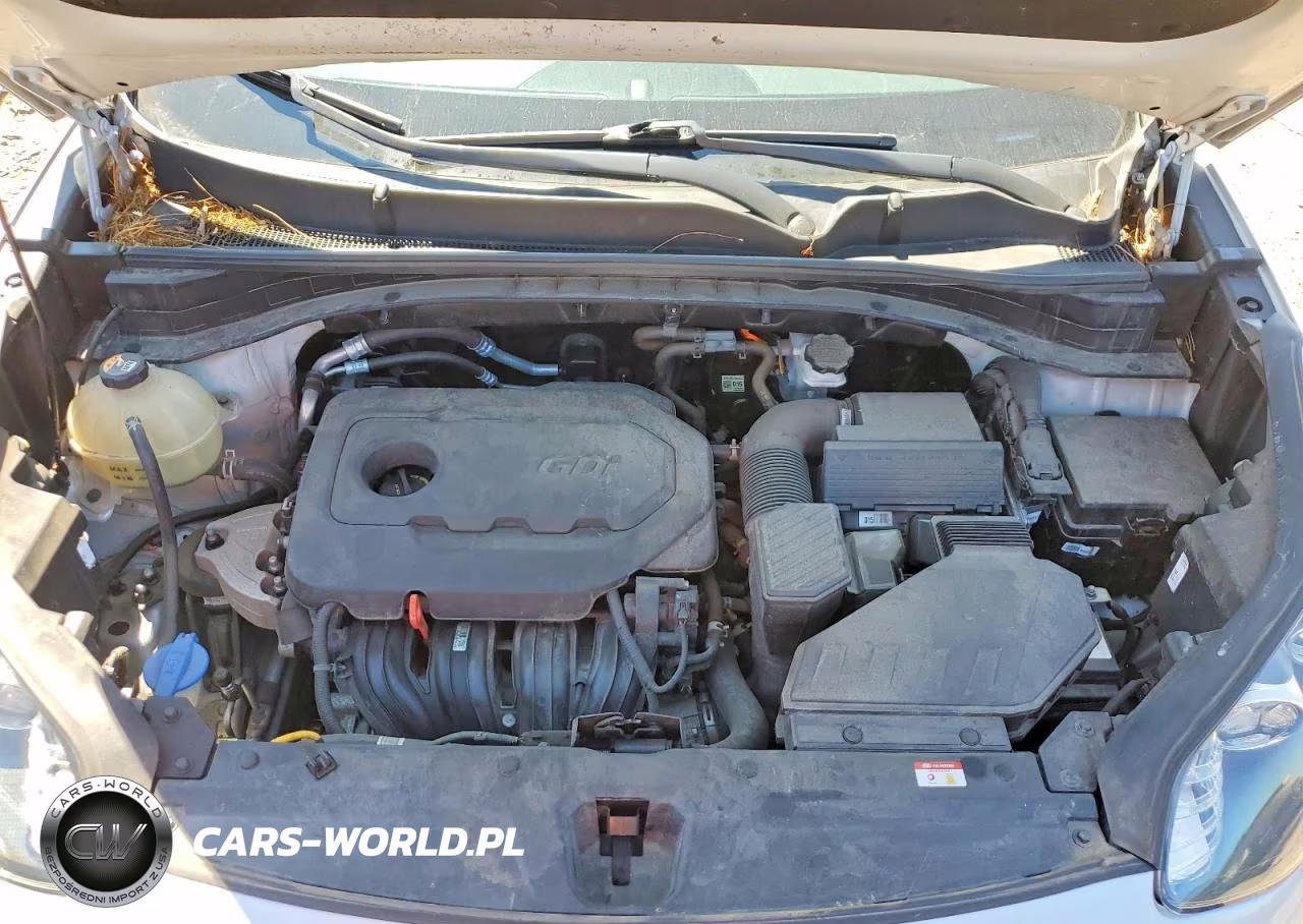 2020 Kia Sportage Lx VIN:KNDPMCAC5L7794616 - 12