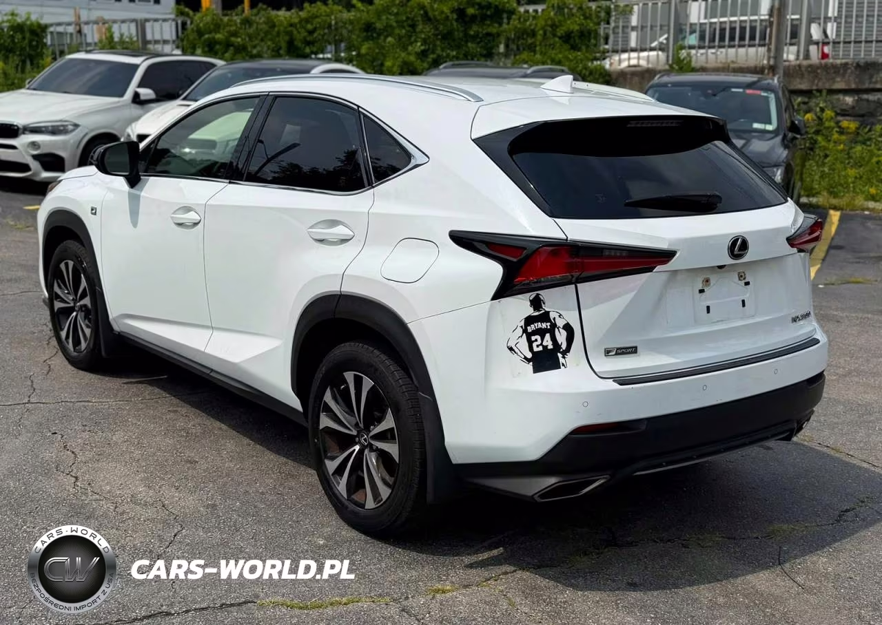 2020 Lexus Nx 300 F Sport VIN:JTJSARDZ1L5006364 - 2