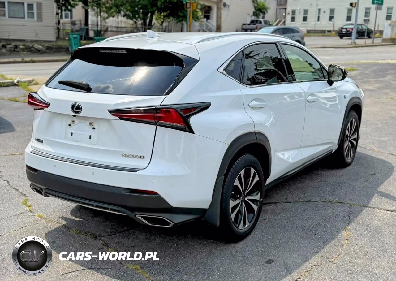 2020 Lexus Nx 300 F Sport VIN:JTJSARDZ1L5006364 - 3