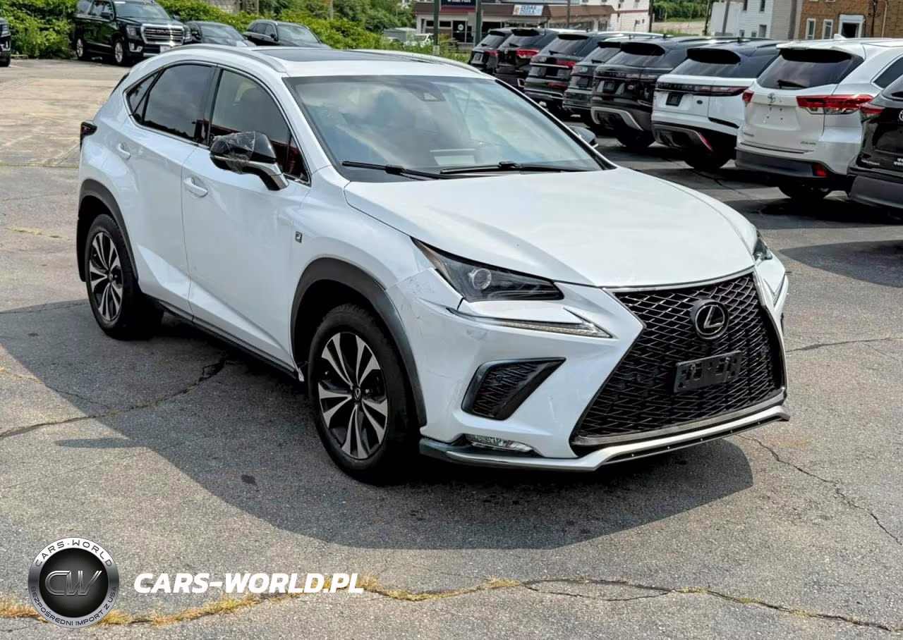 2020 Lexus Nx 300 F Sport VIN:JTJSARDZ1L5006364 - 4