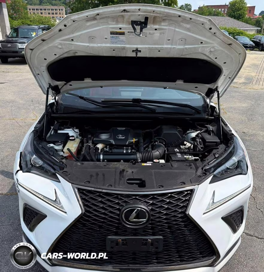 2020 Lexus Nx 300 F Sport VIN:JTJSARDZ1L5006364 - 7