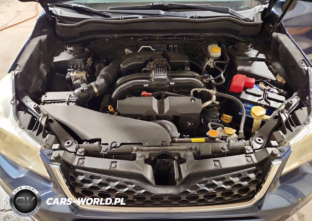 2014 Subaru Forester 2.5I VIN:JF2SJAAC5EH413871 - 11