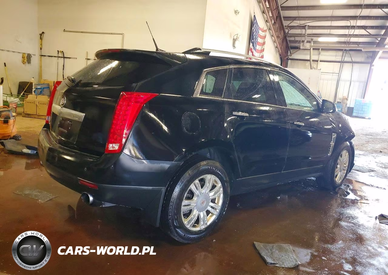 2010 Cadillac Srx Luxury Collection VIN:3GYFNDEY3AS626888 - 3