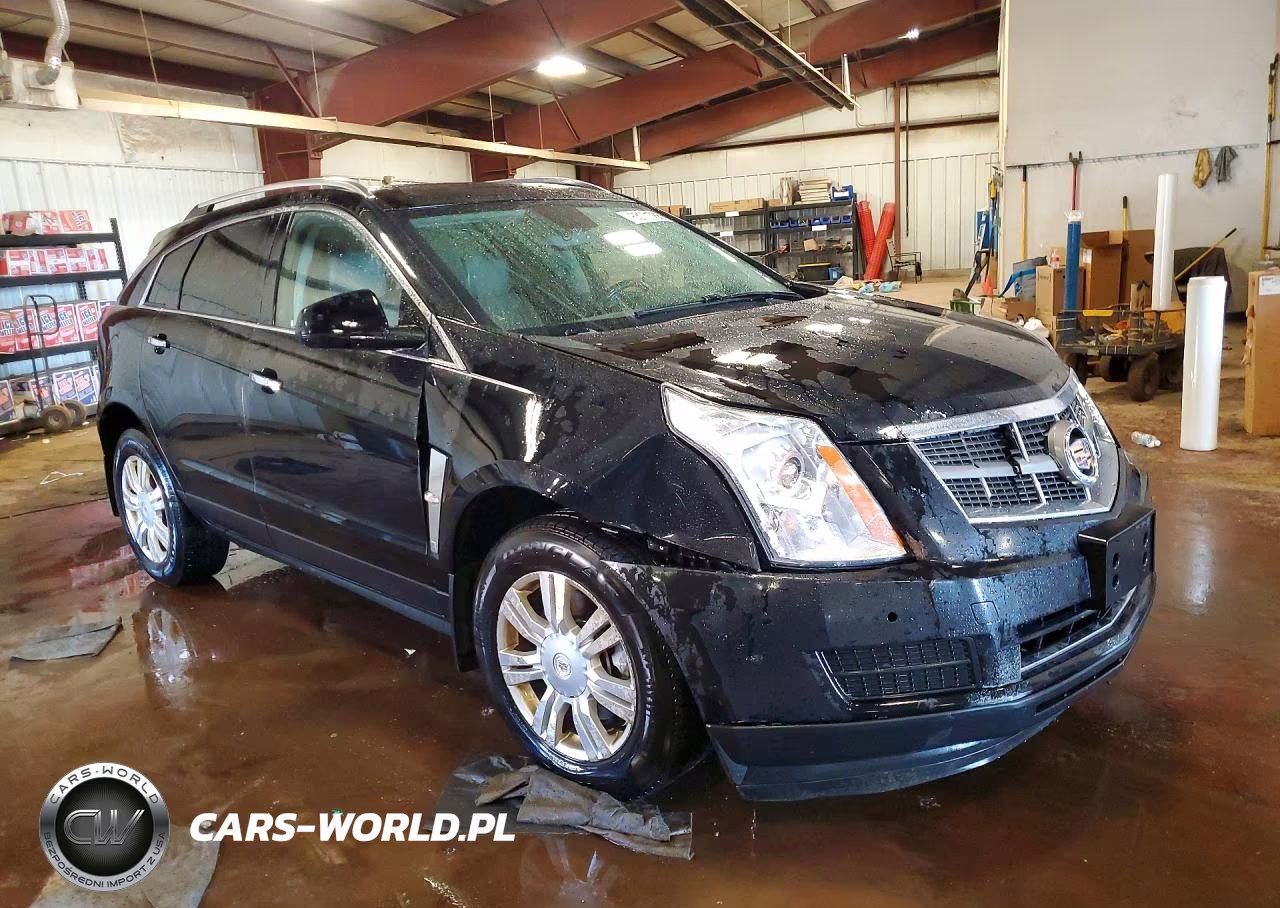 2010 Cadillac Srx Luxury Collection VIN:3GYFNDEY3AS626888 - 4