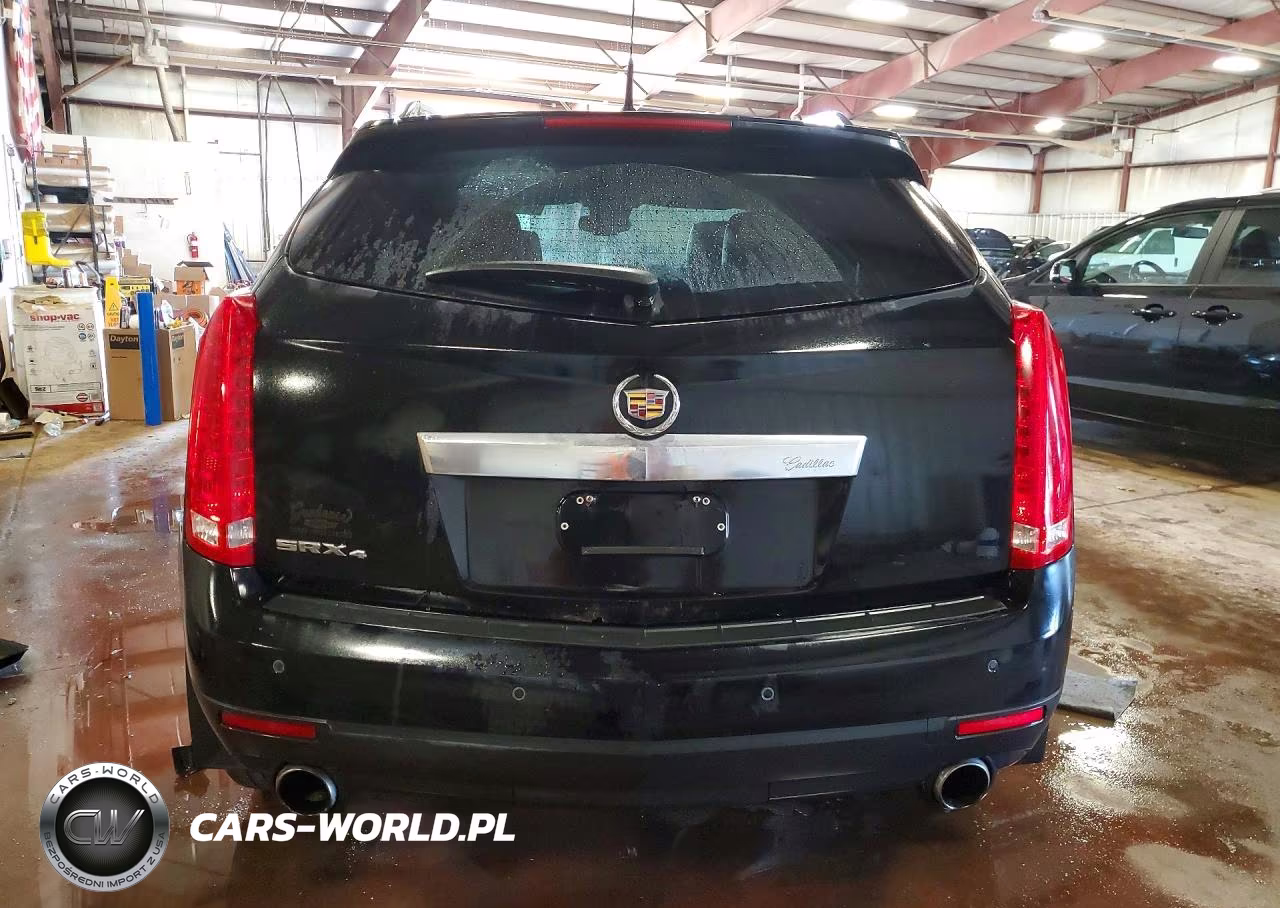 2010 Cadillac Srx Luxury Collection VIN:3GYFNDEY3AS626888 - 6