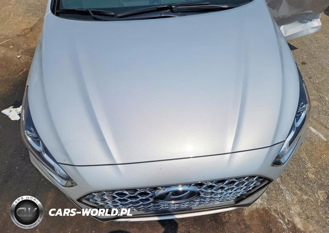 2019 Hyundai Sonata Sport VIN:5NPE34AF1KH815515 - 11
