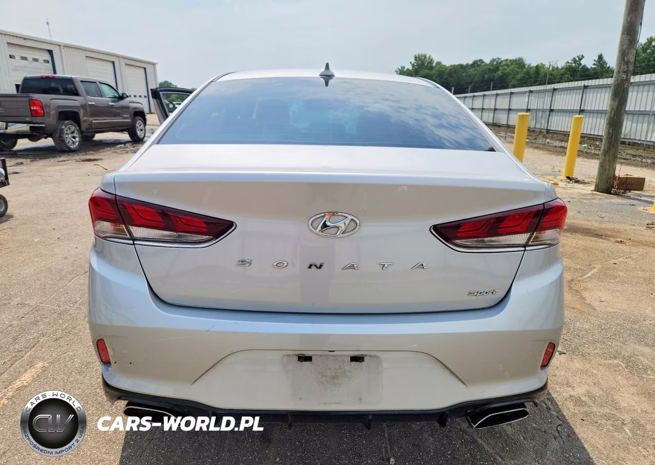 2019 Hyundai Sonata Sport VIN:5NPE34AF1KH815515 - 6