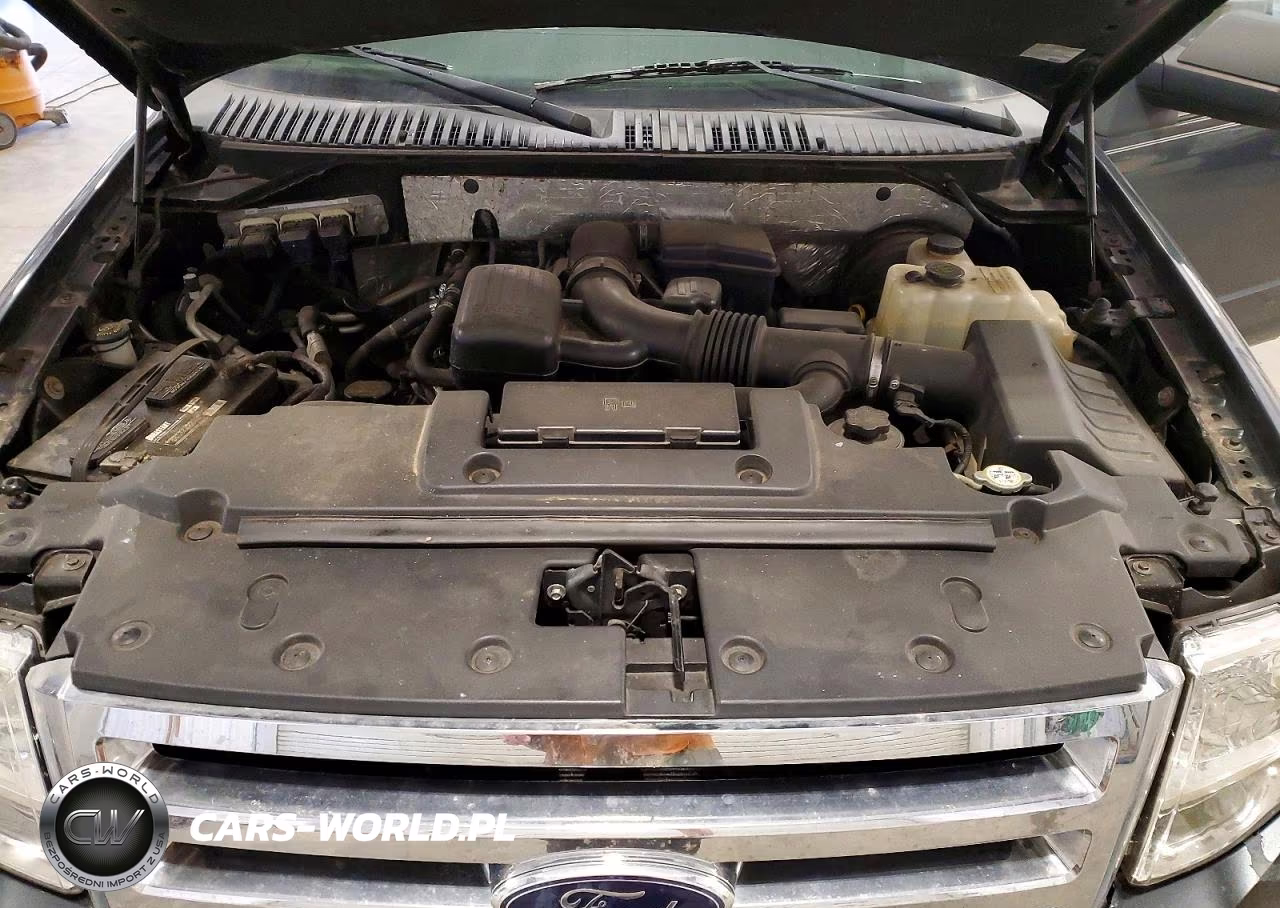 2009 Ford Expedition Xlt VIN:1FMFU16519LA04234 - 12
