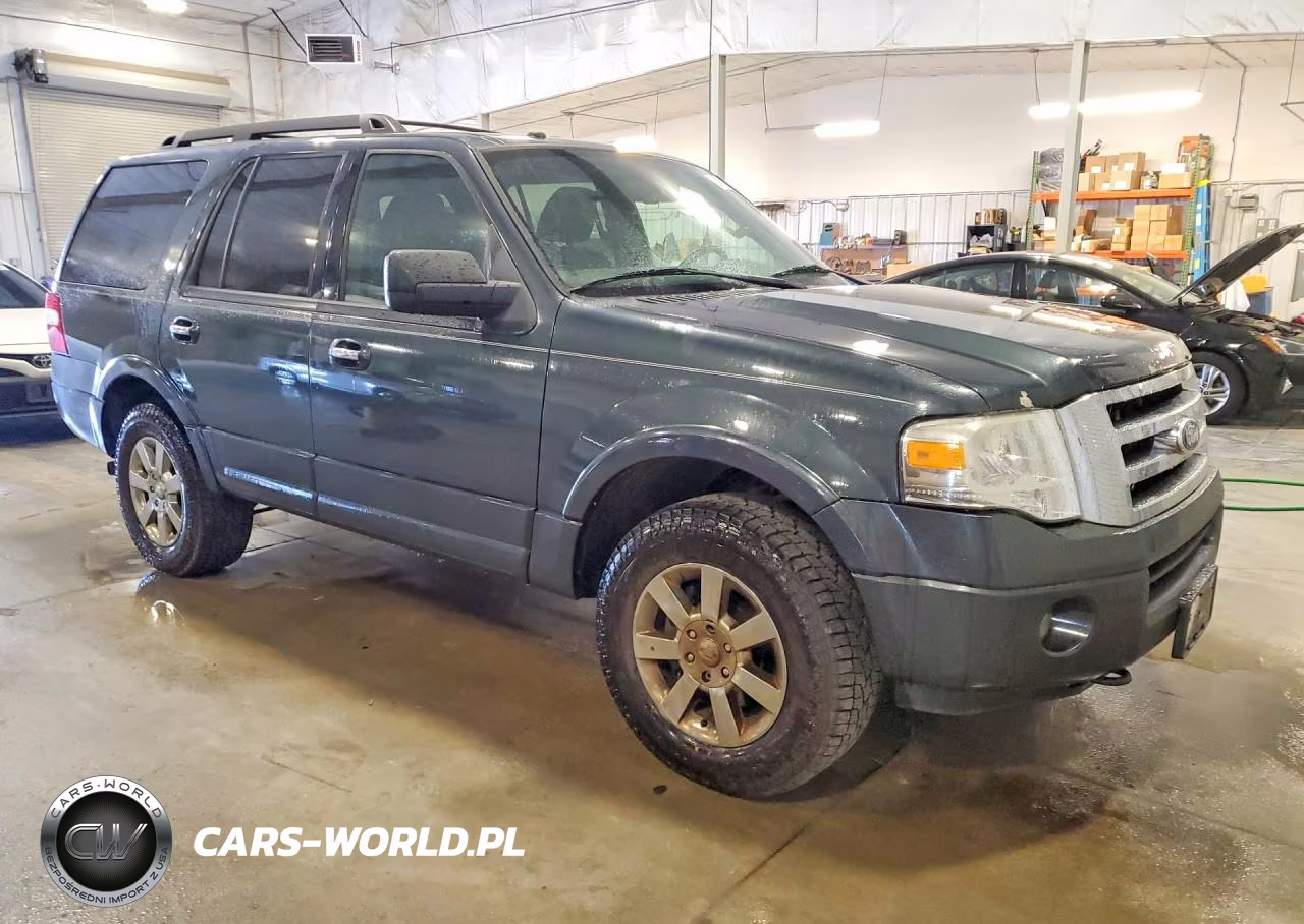 2009 Ford Expedition Xlt VIN:1FMFU16519LA04234 - 4