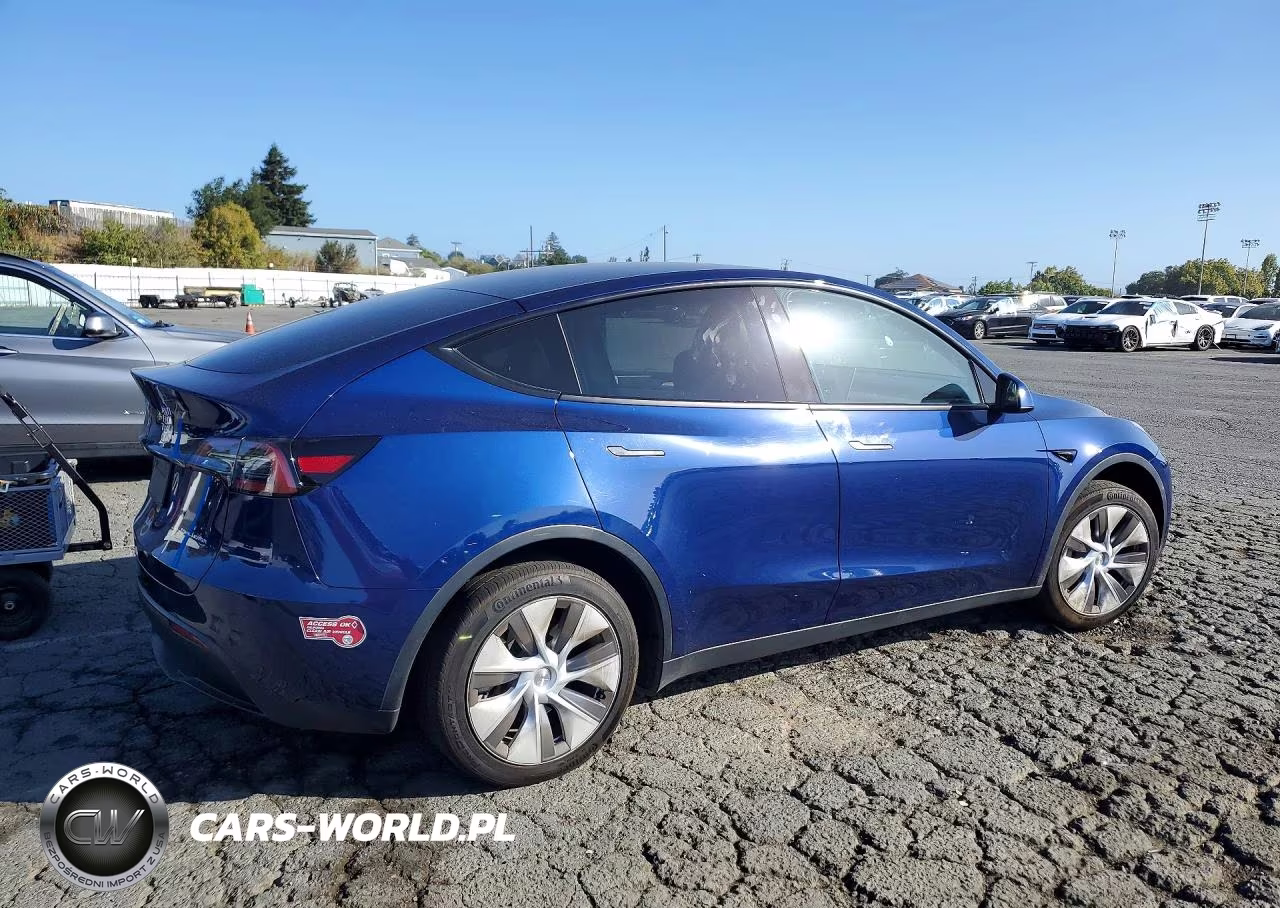 2023 Tesla Model Y VIN:7SAYGDEE2PF949459 - 3