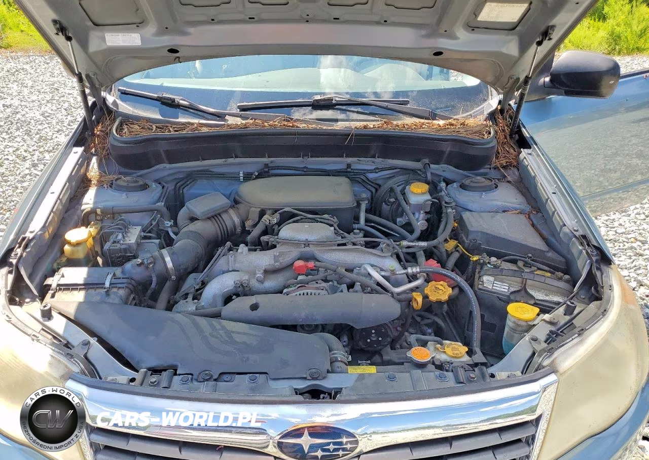 2010 Subaru Forester Xs VIN:JF2SH6BC1AH804419 - 12