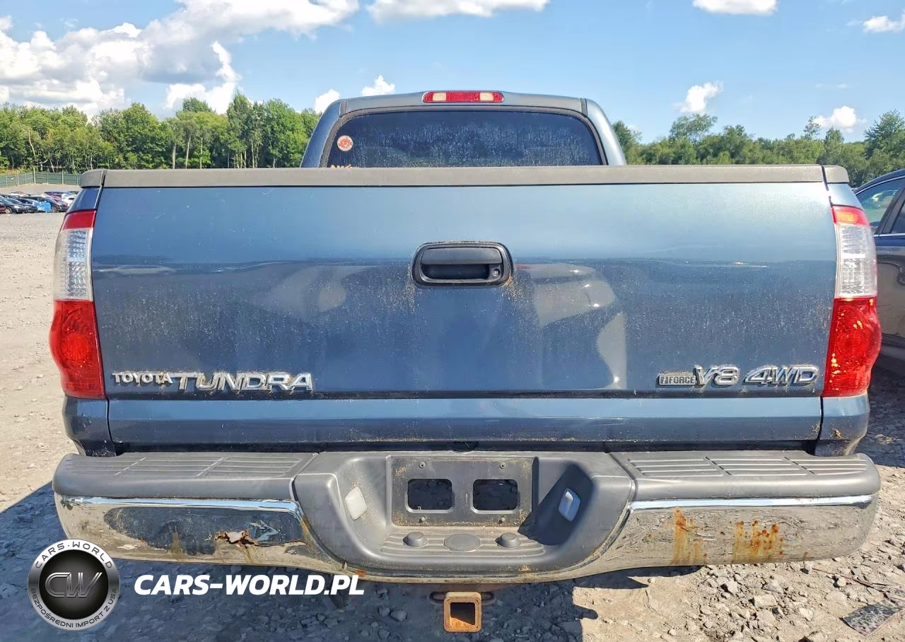 2005 Toyota Tundra Double Cab Sr5 VIN:5TBDT44165S494428 - 6