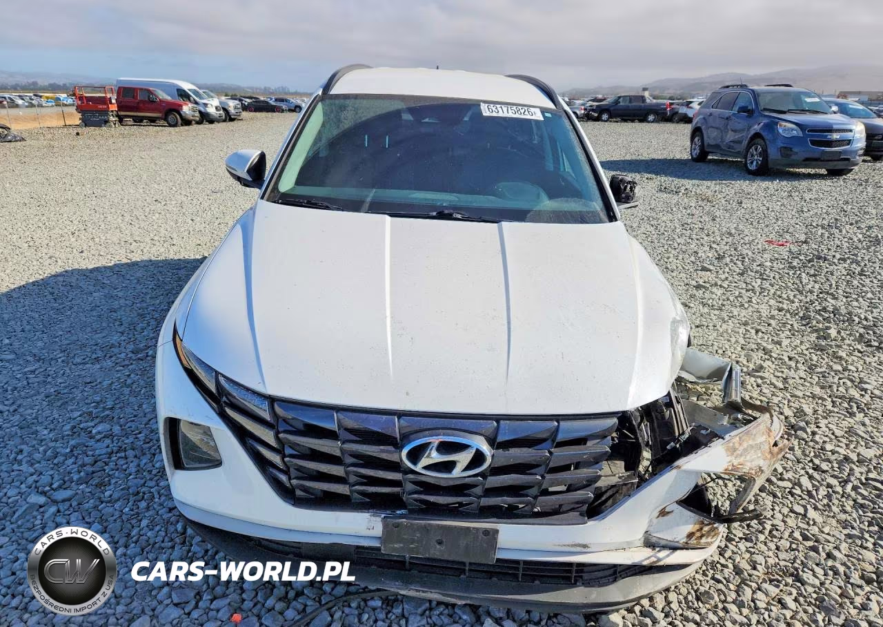 2023 Hyundai Tucson Sel VIN:5NMJB3AE2PH174964 - 5
