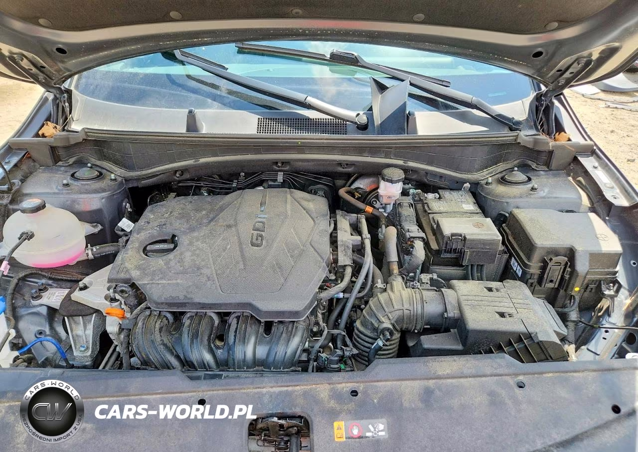 2024 Kia Sportage X-Pro VIN:5XYK7CDF6RG202580 - 12