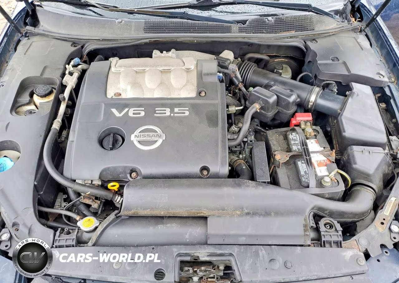 2004 Nissan Maxima 3.5 Se VIN:1N4BA41E84C912604 - 11