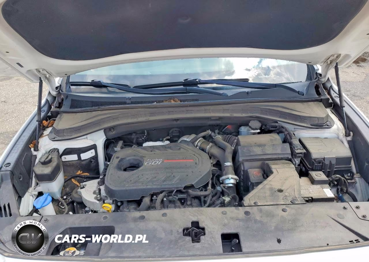 2020 Hyundai Santa Fe Limited 2.0T VIN:5NMS53AA6LH276450 - 12