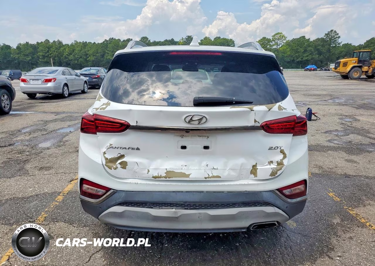 2020 Hyundai Santa Fe Limited 2.0T VIN:5NMS53AA6LH276450 - 6