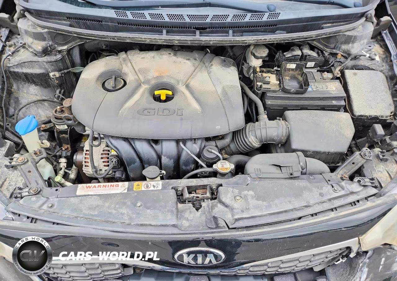 2014 Kia Forte Ex VIN:KNAFX4A80E5046355 - 11