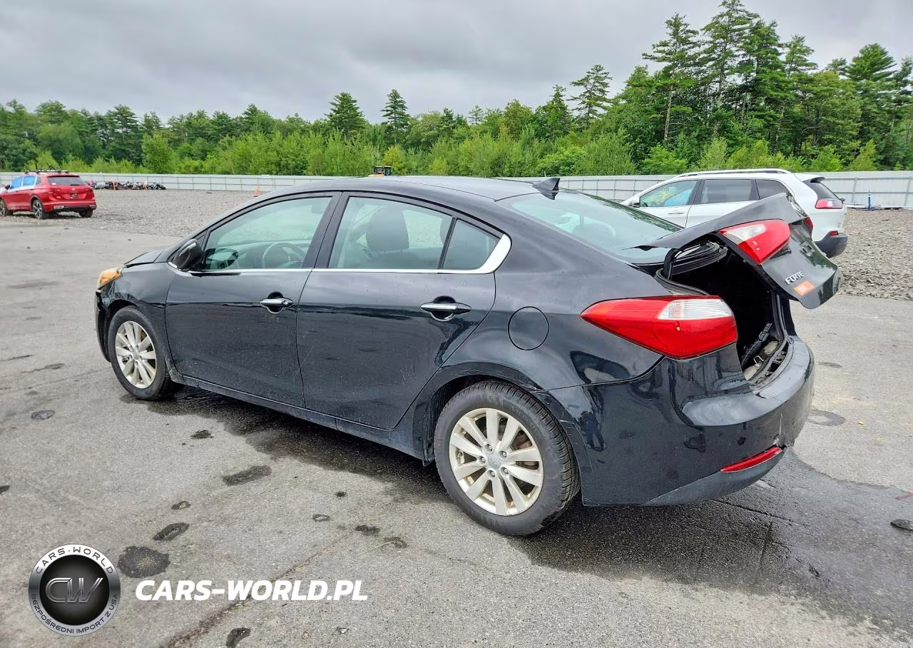 2014 Kia Forte Ex VIN:KNAFX4A80E5046355 - 2