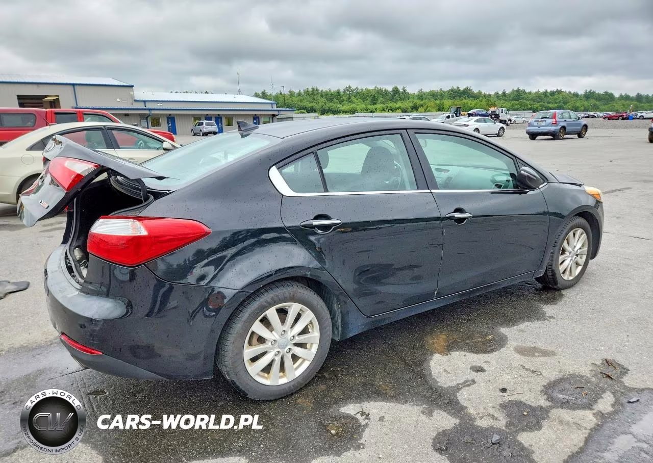 2014 Kia Forte Ex VIN:KNAFX4A80E5046355 - 3