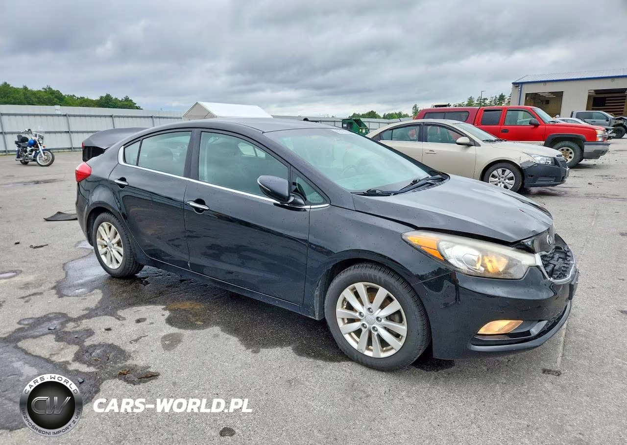 2014 Kia Forte Ex VIN:KNAFX4A80E5046355 - 4