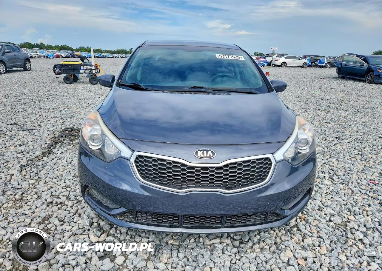 2016 Kia Forte Lx VIN:KNAFK4A63G5569613 - 5