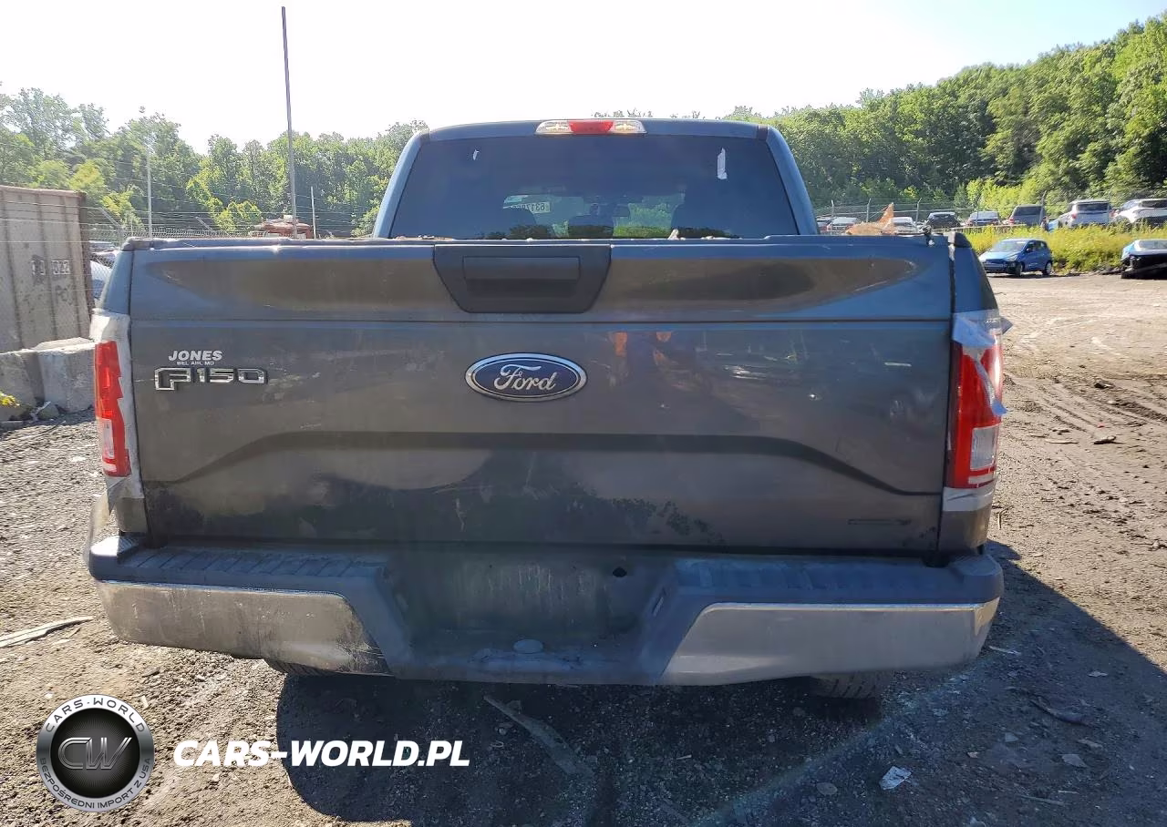 2015 Ford F150 Supercrew VIN:1FTEW1EF8FFA40453 - 6