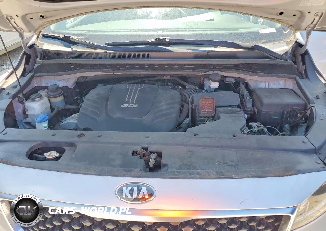 2016 Kia Sedona Lx VIN:KNDMB5C16G6192366 - 12