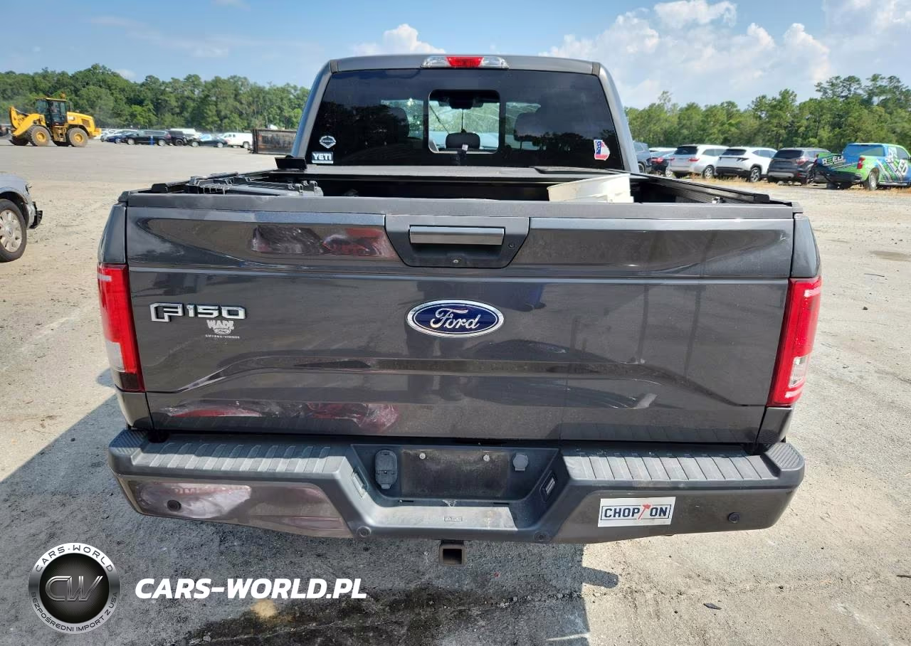 2016 Ford F150 Supercrew VIN:1FTEW1EP6GFB80592 - 6
