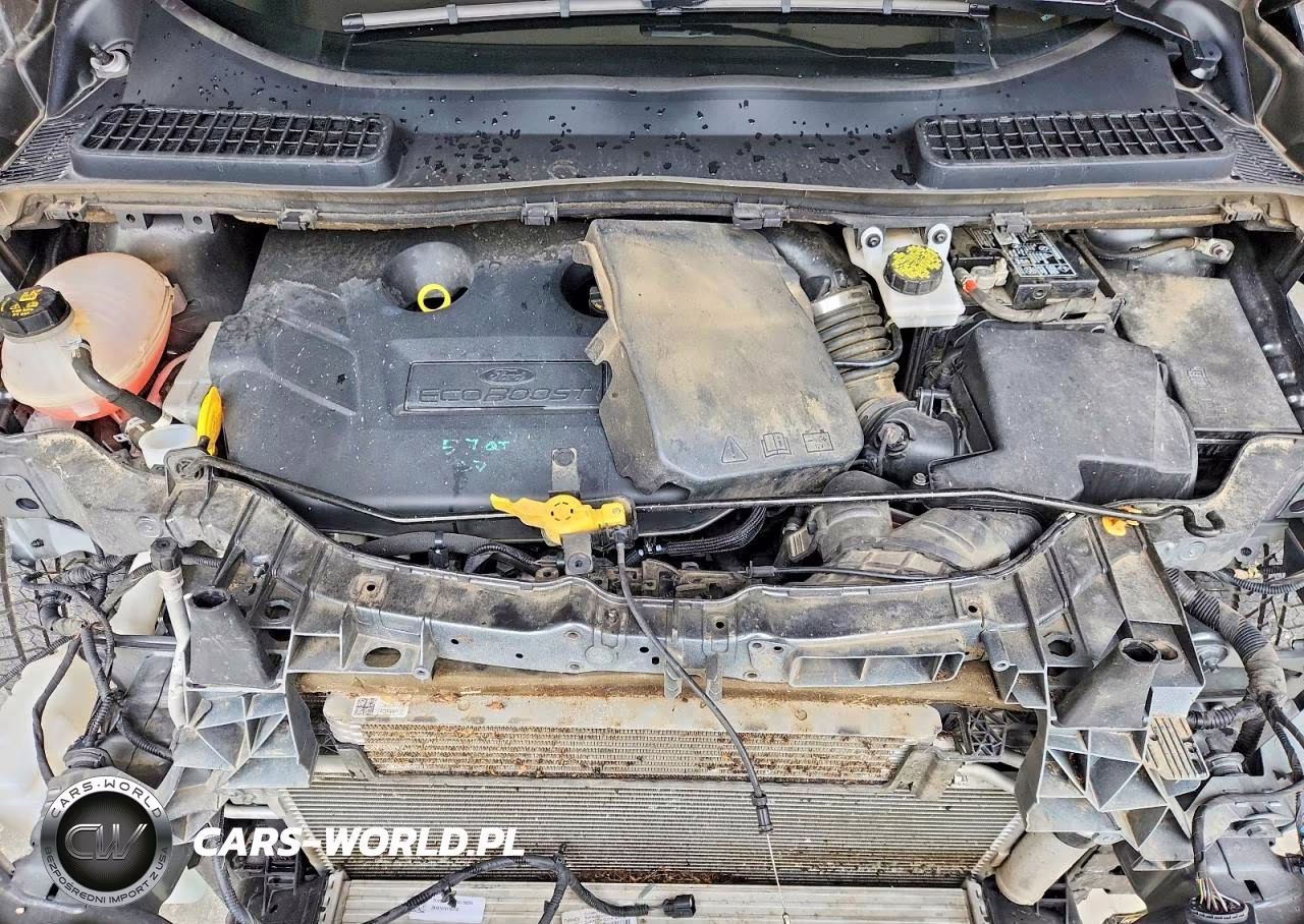 2019 Ford Escape Titanium VIN:1FMCU9J95KUA20075 - 12