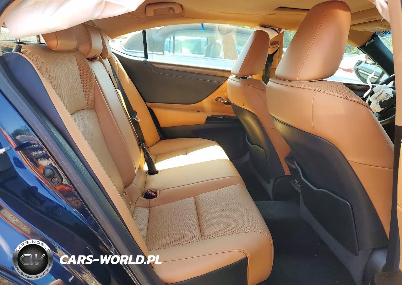 2022 Lexus Es 350 Base VIN:58ADZ1B14NU132461 - 10