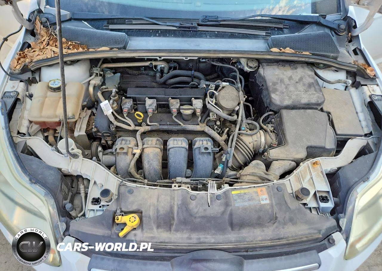2013 Ford Focus Se VIN:1FADP3F28DL121408 - 11