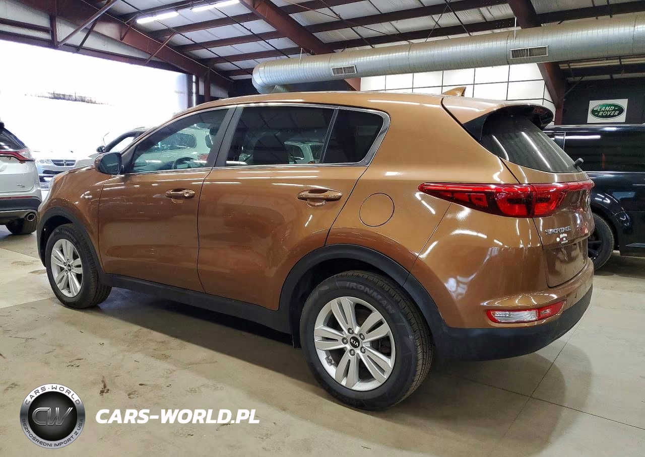 2019 Kia Sportage Lx VIN:KNDPMCACXK7566593 - 2