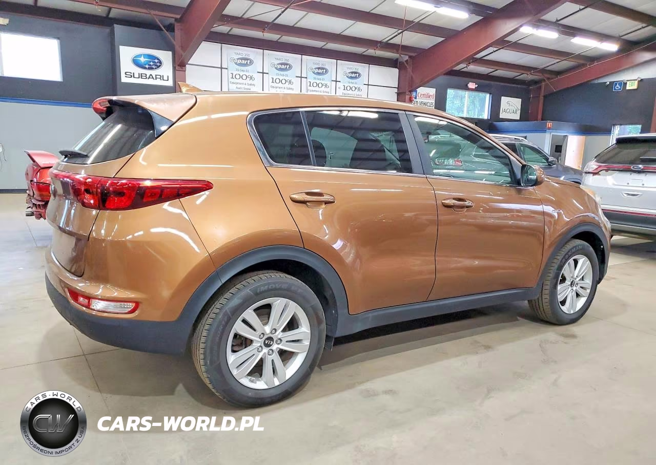 2019 Kia Sportage Lx VIN:KNDPMCACXK7566593 - 3