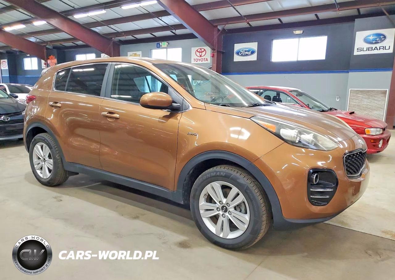 2019 Kia Sportage Lx VIN:KNDPMCACXK7566593 - 4