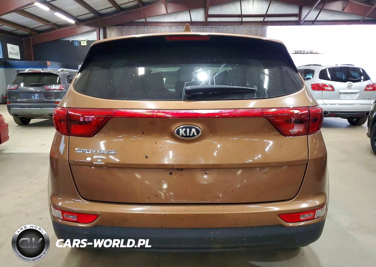 2019 Kia Sportage Lx VIN:KNDPMCACXK7566593 - 6
