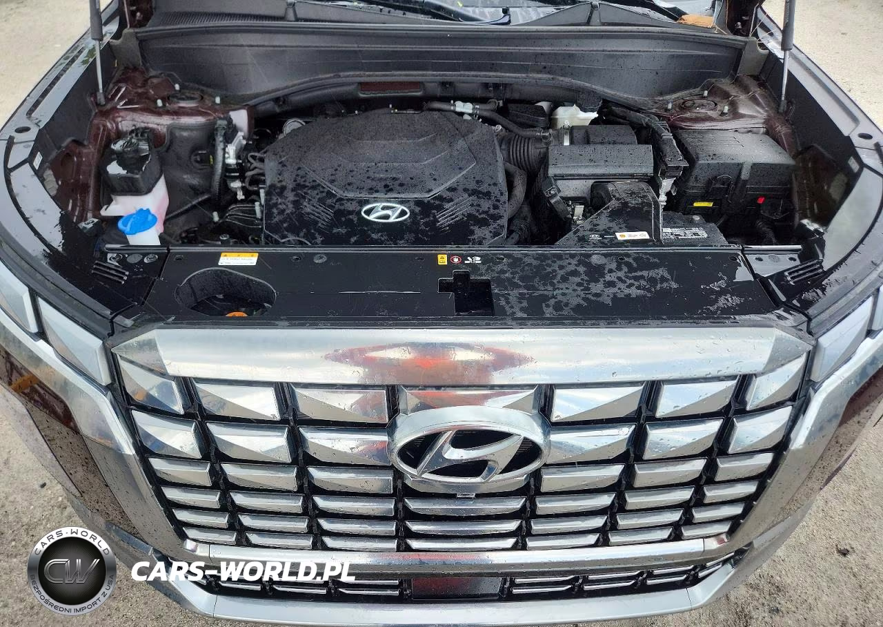 2023 Hyundai Palisade Calligraphy VIN:KM8R74GE0PU627422 - 12
